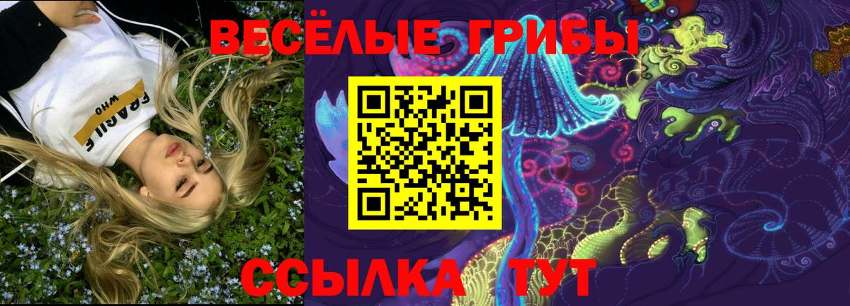 наркотики  Галлюциногенные грибы GOLDEN TEACHER  Вход с VPN  Артёмовский 