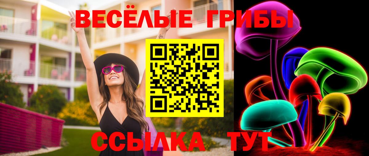 Псилоцибиновые грибы Psilocybe Артёмовский